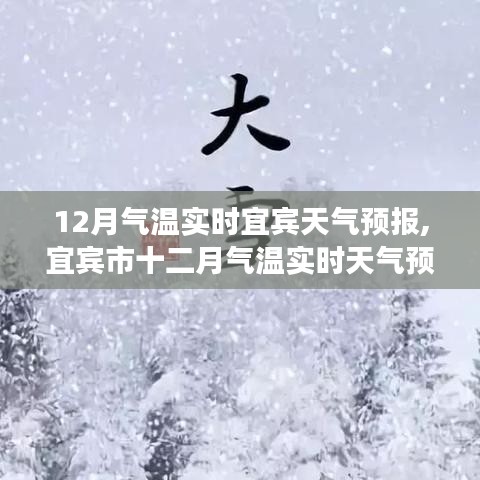 宜賓市十二月實(shí)時(shí)氣溫天氣預(yù)報(bào)，氣候背景與重要事件影響分析