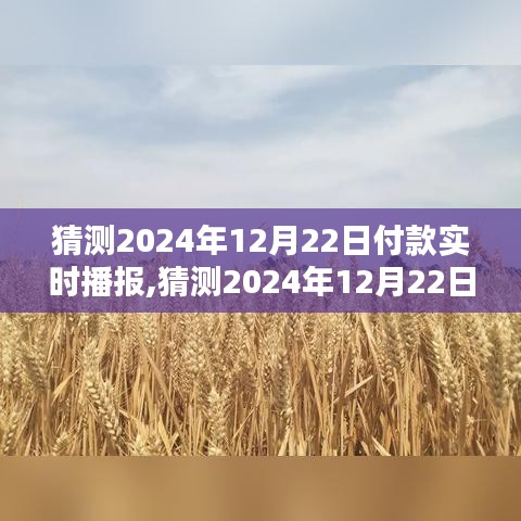2024年12月22日付款實時播報產(chǎn)品全面評測與介紹