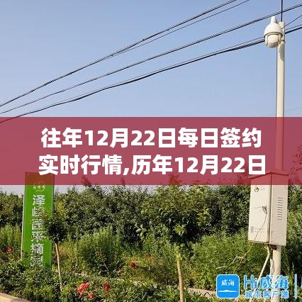揭秘歷年與實時動態(tài)，12月22日簽約行情深度解析與商機洞察