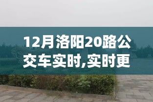 12月洛陽20路公交車實時動態，暢游古都的便捷交通選擇