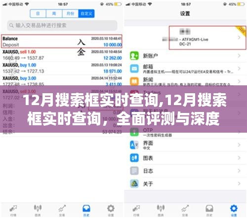 12月搜索框?qū)崟r查詢深度解析與全面評測