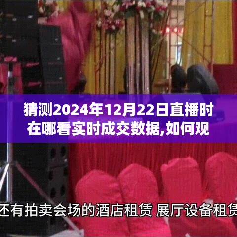 2024年12月22日直播實時成交數(shù)據(jù)觀看指南，如何在線獲取詳細步驟