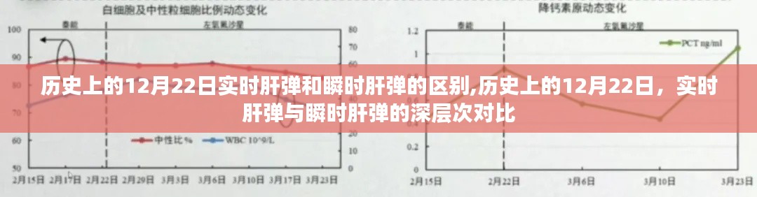 歷史上的12月22日，實時肝彈與瞬時肝彈的深入對比與區別探討