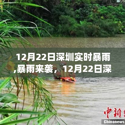 深圳暴雨來襲，深度解析12月22日實時暴雨事件