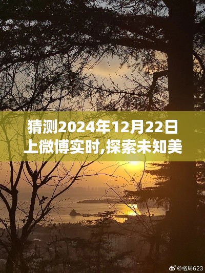 探索未知美景，尋找內(nèi)心寧靜，2024年微博實(shí)時自然之旅猜想揭秘