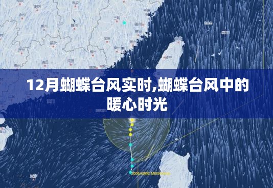 蝴蝶臺(tái)風(fēng)中的暖心時(shí)刻，實(shí)時(shí)追蹤報(bào)道與溫情分享