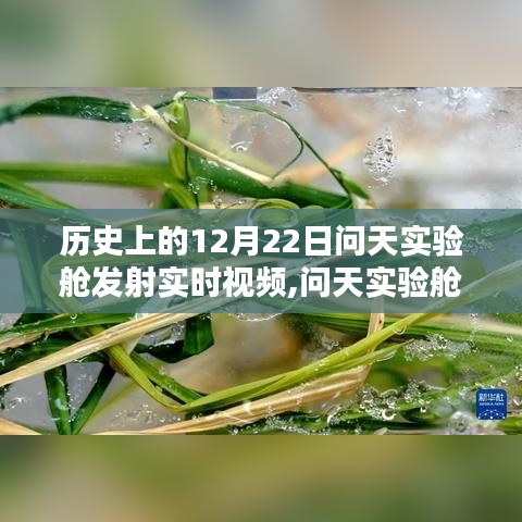 回顧歷史上的輝煌時(shí)刻，問天實(shí)驗(yàn)艙發(fā)射回顧與實(shí)時(shí)視頻記錄