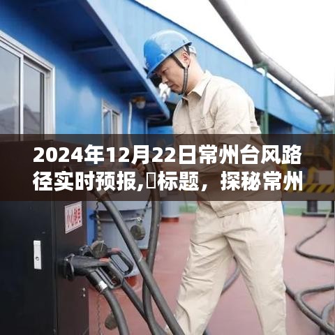 臺風(fēng)來襲下的常州小巷美食探秘，實時路徑預(yù)報與驚喜邂逅