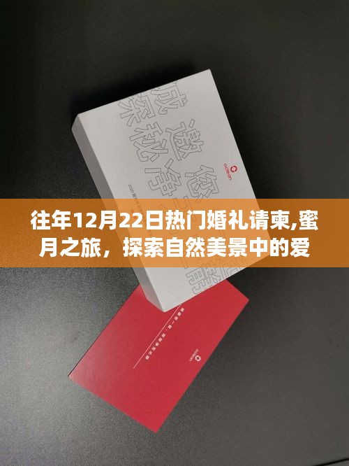 遠(yuǎn)離塵囂的婚禮冒險(xiǎn)，探索自然美景中的愛情誓言與蜜月之旅的浪漫啟程