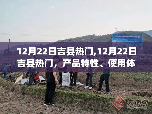 12月22日吉縣熱門產(chǎn)品深度解析，特性、用戶體驗與目標用戶群體探討