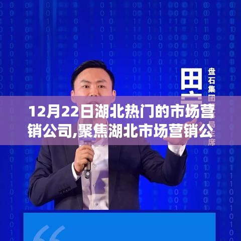 湖北市場(chǎng)營銷公司行業(yè)領(lǐng)軍者的策略與魅力探尋（日期，12月22日）