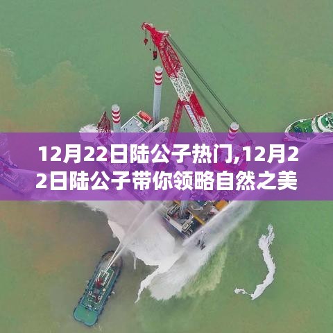 陸公子帶你領略自然之美，一場尋找內心平靜的奇妙旅行（12月22日熱門回顧）