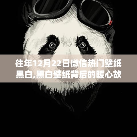 黑白壁紙背后的暖心故事，微信熱門壁紙與溫馨朋友聚會(huì)的回憶