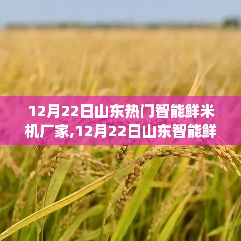 山東智能鮮米機廠家勵志之旅，學習變化，自信鑄就未來成功之路