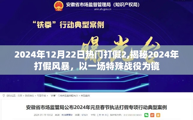 揭秘2024年打假風暴，一場特殊戰(zhàn)役的啟示與反思