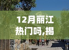 揭秘十二月麗江旅游熱潮，玩轉(zhuǎn)麗江的最佳攻略
