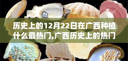 廣西歷史上的種植焦點(diǎn)，深度解析廣西種植作物趨勢(shì)與12月22日的熱門種植焦點(diǎn)