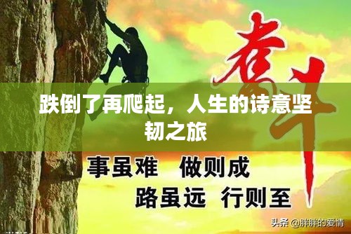 跌倒了再爬起，人生的詩意堅韌之旅
