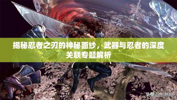 揭秘忍者之刃的神秘面紗，武器與忍者的深度關聯專題解析