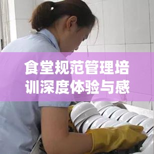 食堂規范管理培訓深度體驗與感悟