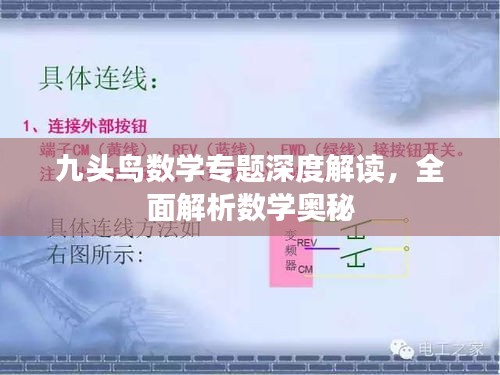 九頭鳥數(shù)學(xué)專題深度解讀，全面解析數(shù)學(xué)奧秘
