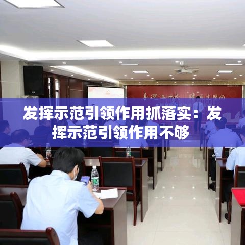 發(fā)揮示范引領(lǐng)作用抓落實(shí)：發(fā)揮示范引領(lǐng)作用不夠 