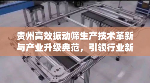 貴州高效振動篩生產技術革新與產業升級典范，引領行業新風向！