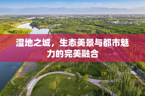 濕地之城，生態(tài)美景與都市魅力的完美融合