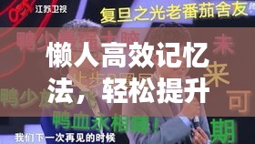 懶人高效記憶法，輕松提升記憶力的秘訣攻略