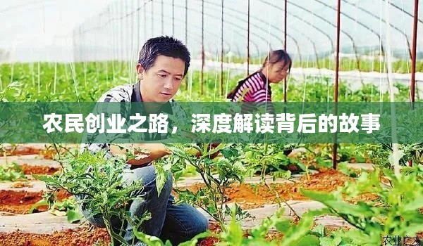 農民創業之路，深度解讀背后的故事