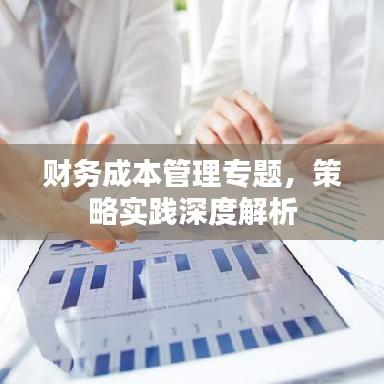 財(cái)務(wù)成本管理專(zhuān)題，策略實(shí)踐深度解析