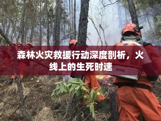 森林火災救援行動深度剖析，火線上的生死時速