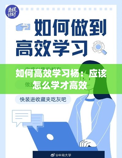 如何高效學(xué)習(xí)楊：應(yīng)該怎么學(xué)才高效 