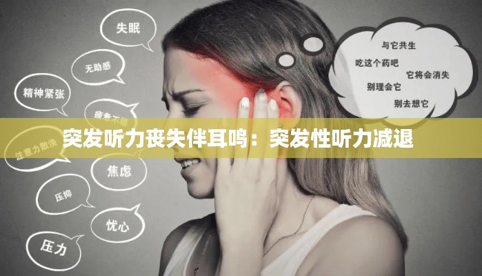 慘淡經(jīng)營 第3頁