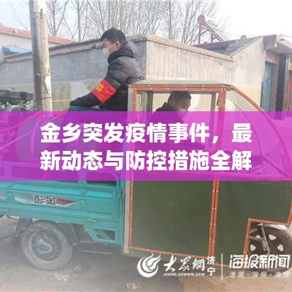 金鄉突發疫情事件，最新動態與防控措施全解析
