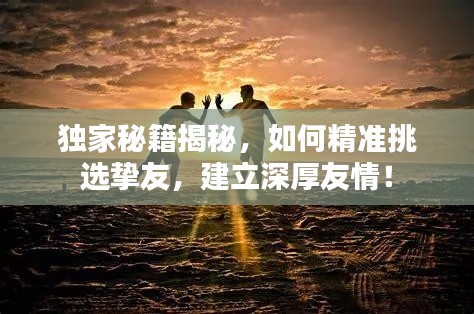 獨家秘籍揭秘，如何精準(zhǔn)挑選摯友，建立深厚友情！