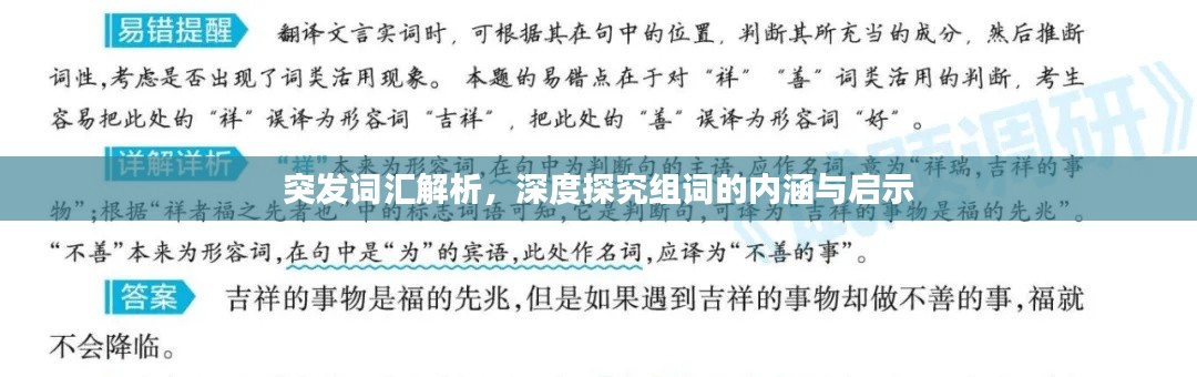 突發(fā)詞匯解析，深度探究組詞的內(nèi)涵與啟示