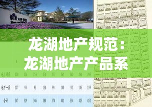 龍湖地產(chǎn)規(guī)范：龍湖地產(chǎn)產(chǎn)品系列 