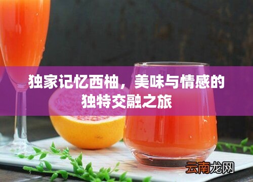 獨(dú)家記憶西柚，美味與情感的獨(dú)特交融之旅