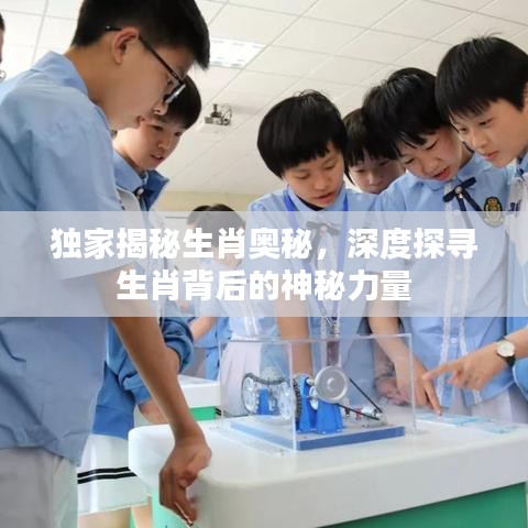 獨家揭秘生肖奧秘，深度探尋生肖背后的神秘力量