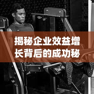 揭秘企業效益增長背后的成功秘訣，企業成功之路圖解析