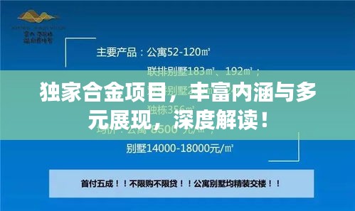 獨家合金項目，豐富內涵與多元展現，深度解讀！