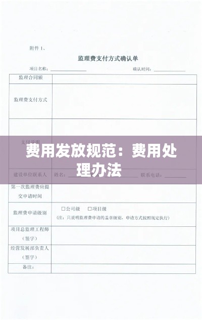 費用發放規范：費用處理辦法 