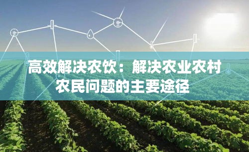 高效解決農(nóng)飲：解決農(nóng)業(yè)農(nóng)村農(nóng)民問題的主要途徑 