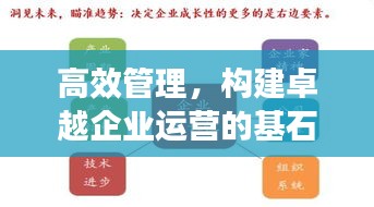 高效管理，構(gòu)建卓越企業(yè)運(yùn)營(yíng)的基石之道
