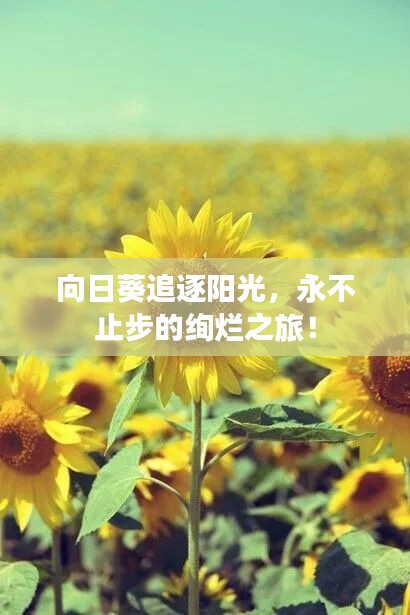 生離死別 第2頁