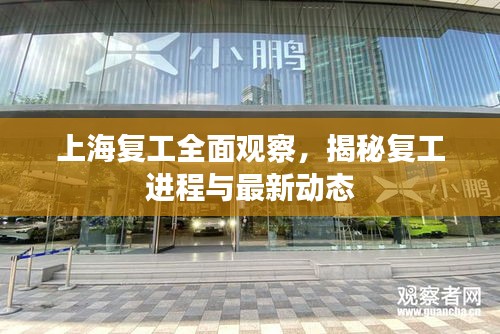 上海復工全面觀察，揭秘復工進程與最新動態(tài)