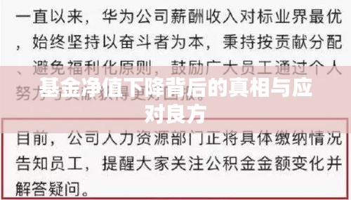 基金凈值下降背后的真相與應對良方