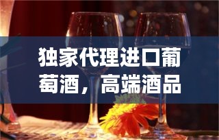 獨家代理進口葡萄酒，高端酒品市場探索之旅