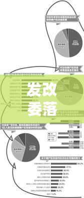 發(fā)改委落實(shí)統(tǒng)計(jì)：發(fā)改統(tǒng)計(jì)局工作總結(jié) 